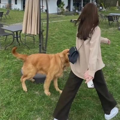 黑色芳心
